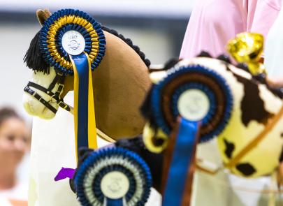 Międzynarodowe Zawody Hobby Horse — fotorelacja część 3