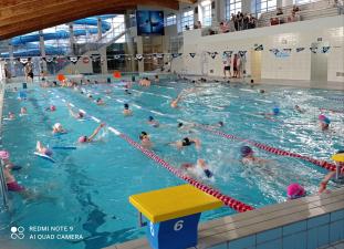 Mikołajkowe Szkolne Zawody Pływackie