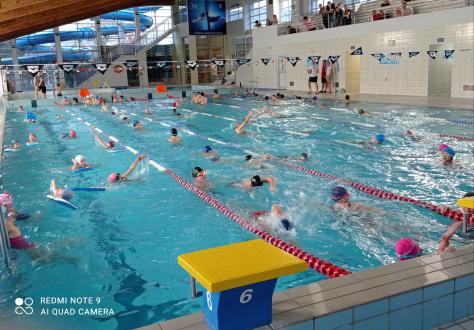 Mikołajkowe Szkolne Zawody Pływackie